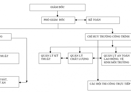 Cơ cấu tổ chức nhân sự
